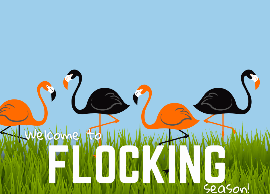 Our FLOCK is heading south for the winter!
